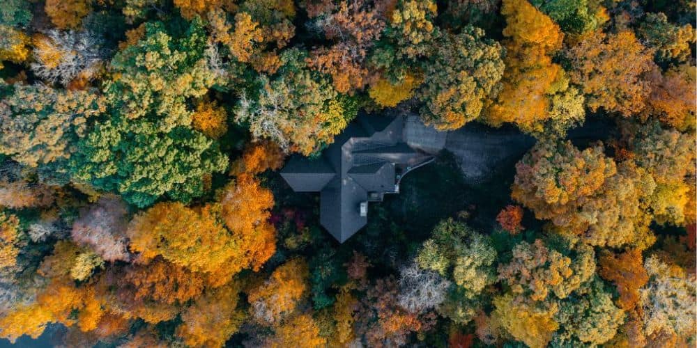 How to Protect Your Roof During the Fall Season