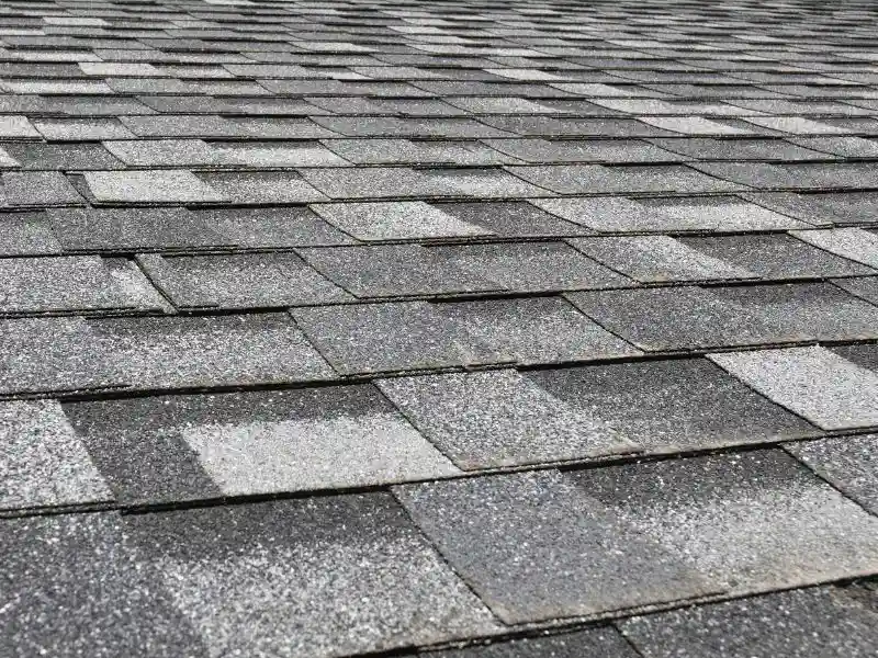 Signs Your Roof Shingles Need to Be Replaced