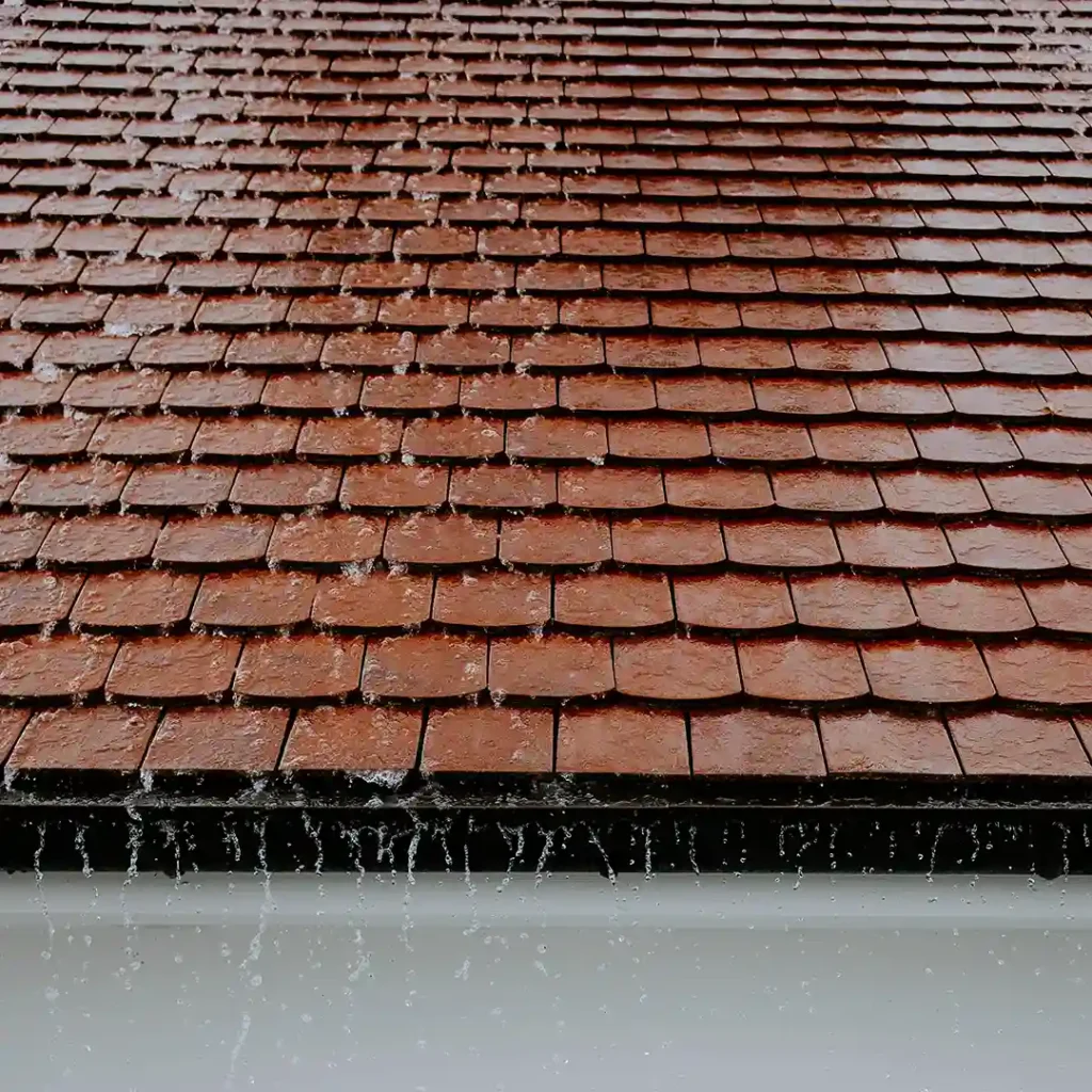 Wind Damage roof check