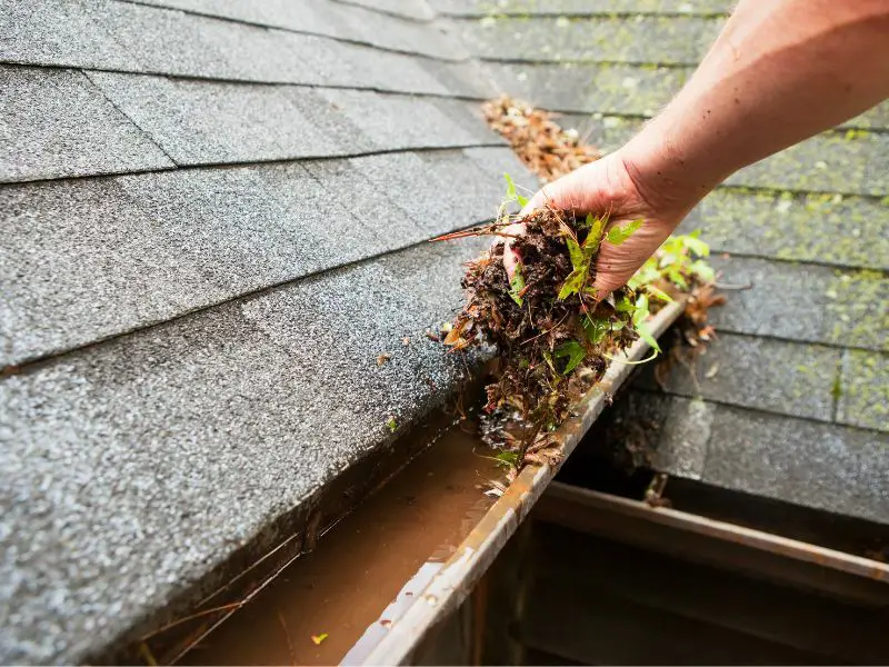 gutter replacement and installation